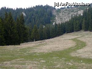 [P21] Poiana de la Muntele Roşu - liziera pădurii, unde cele două trasee de care spuneam se întâlnesc » foto by Claudiu U.
 - 
<span class="allrVoted glyphicon glyphicon-heart hidden" id="av467049"></span>
<a class="m-l-10 hidden" id="sv467049" onclick="voting_Foto_DelVot(,467049,4696)" role="button">șterge vot <span class="glyphicon glyphicon-remove"></span></a>
<a id="v9467049" class=" c-red"  onclick="voting_Foto_SetVot(467049)" role="button"><span class="glyphicon glyphicon-heart-empty"></span> <b>LIKE</b> = Votează poza</a> <img class="hidden"  id="f467049W9" src="/imagini/loader.gif" border="0" /><span class="AjErrMes hidden" id="e467049ErM"></span>