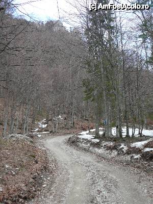 [P04] Drumul forestier de pe Valea Berii » foto by Claudiu U.
 - 
<span class="allrVoted glyphicon glyphicon-heart hidden" id="av467023"></span>
<a class="m-l-10 hidden" id="sv467023" onclick="voting_Foto_DelVot(,467023,4696)" role="button">șterge vot <span class="glyphicon glyphicon-remove"></span></a>
<a id="v9467023" class=" c-red"  onclick="voting_Foto_SetVot(467023)" role="button"><span class="glyphicon glyphicon-heart-empty"></span> <b>LIKE</b> = Votează poza</a> <img class="hidden"  id="f467023W9" src="/imagini/loader.gif" border="0" /><span class="AjErrMes hidden" id="e467023ErM"></span>