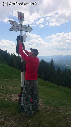 [P19] Ciucaș, spre Cheia » foto by Mioritik
 - 
<span class="allrVoted glyphicon glyphicon-heart hidden" id="av1275507"></span>
<a class="m-l-10 hidden" id="sv1275507" onclick="voting_Foto_DelVot(,1275507,4696)" role="button">șterge vot <span class="glyphicon glyphicon-remove"></span></a>
<a id="v91275507" class=" c-red"  onclick="voting_Foto_SetVot(1275507)" role="button"><span class="glyphicon glyphicon-heart-empty"></span> <b>LIKE</b> = Votează poza</a> <img class="hidden"  id="f1275507W9" src="/imagini/loader.gif" border="0" /><span class="AjErrMes hidden" id="e1275507ErM"></span>