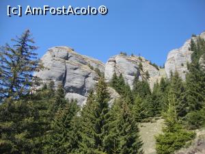 [P07] Am urcat pe lângă zona numită ”Colții Bratocei”.  » foto by Floryn81
 - 
<span class="allrVoted glyphicon glyphicon-heart hidden" id="av963981"></span>
<a class="m-l-10 hidden" id="sv963981" onclick="voting_Foto_DelVot(,963981,4696)" role="button">șterge vot <span class="glyphicon glyphicon-remove"></span></a>
<a id="v9963981" class=" c-red"  onclick="voting_Foto_SetVot(963981)" role="button"><span class="glyphicon glyphicon-heart-empty"></span> <b>LIKE</b> = Votează poza</a> <img class="hidden"  id="f963981W9" src="/imagini/loader.gif" border="0" /><span class="AjErrMes hidden" id="e963981ErM"></span>