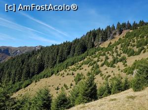 [P10] Priveliști de toamnă în Munții Ciucaș.  » foto by Floryn81
 - 
<span class="allrVoted glyphicon glyphicon-heart hidden" id="av1121412"></span>
<a class="m-l-10 hidden" id="sv1121412" onclick="voting_Foto_DelVot(,1121412,4696)" role="button">șterge vot <span class="glyphicon glyphicon-remove"></span></a>
<a id="v91121412" class=" c-red"  onclick="voting_Foto_SetVot(1121412)" role="button"><span class="glyphicon glyphicon-heart-empty"></span> <b>LIKE</b> = Votează poza</a> <img class="hidden"  id="f1121412W9" src="/imagini/loader.gif" border="0" /><span class="AjErrMes hidden" id="e1121412ErM"></span>