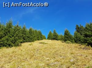 [P14] Culorile toamnei în Munții Ciucaș.  » foto by Floryn81
 - 
<span class="allrVoted glyphicon glyphicon-heart hidden" id="av1121420"></span>
<a class="m-l-10 hidden" id="sv1121420" onclick="voting_Foto_DelVot(,1121420,4696)" role="button">șterge vot <span class="glyphicon glyphicon-remove"></span></a>
<a id="v91121420" class=" c-red"  onclick="voting_Foto_SetVot(1121420)" role="button"><span class="glyphicon glyphicon-heart-empty"></span> <b>LIKE</b> = Votează poza</a> <img class="hidden"  id="f1121420W9" src="/imagini/loader.gif" border="0" /><span class="AjErrMes hidden" id="e1121420ErM"></span>