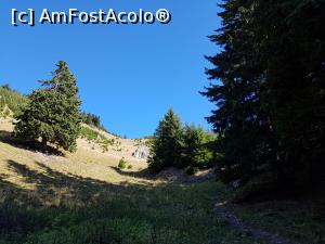 [P07] Porțiune mai abruptă a traseului.  » foto by Floryn81
 - 
<span class="allrVoted glyphicon glyphicon-heart hidden" id="av1121406"></span>
<a class="m-l-10 hidden" id="sv1121406" onclick="voting_Foto_DelVot(,1121406,4696)" role="button">șterge vot <span class="glyphicon glyphicon-remove"></span></a>
<a id="v91121406" class=" c-red"  onclick="voting_Foto_SetVot(1121406)" role="button"><span class="glyphicon glyphicon-heart-empty"></span> <b>LIKE</b> = Votează poza</a> <img class="hidden"  id="f1121406W9" src="/imagini/loader.gif" border="0" /><span class="AjErrMes hidden" id="e1121406ErM"></span>