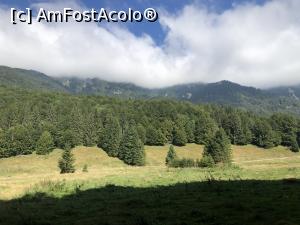 [P16] in Valea Berii vedere spre Culmea Bratocea » foto by Dan&Ema
 - 
<span class="allrVoted glyphicon glyphicon-heart hidden" id="av1189436"></span>
<a class="m-l-10 hidden" id="sv1189436" onclick="voting_Foto_DelVot(,1189436,4696)" role="button">șterge vot <span class="glyphicon glyphicon-remove"></span></a>
<a id="v91189436" class=" c-red"  onclick="voting_Foto_SetVot(1189436)" role="button"><span class="glyphicon glyphicon-heart-empty"></span> <b>LIKE</b> = Votează poza</a> <img class="hidden"  id="f1189436W9" src="/imagini/loader.gif" border="0" /><span class="AjErrMes hidden" id="e1189436ErM"></span>