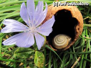 [P12] unii au doua case si altii niciuna... pai e corect?  » foto by no_oxigen
 - 
<span class="allrVoted glyphicon glyphicon-heart hidden" id="av422500"></span>
<a class="m-l-10 hidden" id="sv422500" onclick="voting_Foto_DelVot(,422500,4696)" role="button">șterge vot <span class="glyphicon glyphicon-remove"></span></a>
<a id="v9422500" class=" c-red"  onclick="voting_Foto_SetVot(422500)" role="button"><span class="glyphicon glyphicon-heart-empty"></span> <b>LIKE</b> = Votează poza</a> <img class="hidden"  id="f422500W9" src="/imagini/loader.gif" border="0" /><span class="AjErrMes hidden" id="e422500ErM"></span>