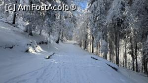 [P01] Pornim la drum » foto by Mika
 - 
<span class="allrVoted glyphicon glyphicon-heart hidden" id="av1516075"></span>
<a class="m-l-10 hidden" id="sv1516075" onclick="voting_Foto_DelVot(,1516075,4696)" role="button">șterge vot <span class="glyphicon glyphicon-remove"></span></a>
<a id="v91516075" class=" c-red"  onclick="voting_Foto_SetVot(1516075)" role="button"><span class="glyphicon glyphicon-heart-empty"></span> <b>LIKE</b> = Votează poza</a> <img class="hidden"  id="f1516075W9" src="/imagini/loader.gif" border="0" /><span class="AjErrMes hidden" id="e1516075ErM"></span>