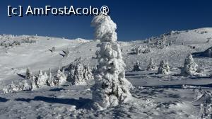 [P24] Munții Ciucaș - de la Bratocea pe Vârful Ciucaș » foto by Mika
 - 
<span class="allrVoted glyphicon glyphicon-heart hidden" id="av1516098"></span>
<a class="m-l-10 hidden" id="sv1516098" onclick="voting_Foto_DelVot(,1516098,4696)" role="button">șterge vot <span class="glyphicon glyphicon-remove"></span></a>
<a id="v91516098" class=" c-red"  onclick="voting_Foto_SetVot(1516098)" role="button"><span class="glyphicon glyphicon-heart-empty"></span> <b>LIKE</b> = Votează poza</a> <img class="hidden"  id="f1516098W9" src="/imagini/loader.gif" border="0" /><span class="AjErrMes hidden" id="e1516098ErM"></span>