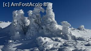 [P27] Munții Ciucaș - de la Bratocea pe Vârful Ciucaș » foto by Mika
 - 
<span class="allrVoted glyphicon glyphicon-heart hidden" id="av1516101"></span>
<a class="m-l-10 hidden" id="sv1516101" onclick="voting_Foto_DelVot(,1516101,4696)" role="button">șterge vot <span class="glyphicon glyphicon-remove"></span></a>
<a id="v91516101" class=" c-red"  onclick="voting_Foto_SetVot(1516101)" role="button"><span class="glyphicon glyphicon-heart-empty"></span> <b>LIKE</b> = Votează poza</a> <img class="hidden"  id="f1516101W9" src="/imagini/loader.gif" border="0" /><span class="AjErrMes hidden" id="e1516101ErM"></span>