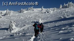 [P30] Munții Ciucaș - de la Bratocea pe Vârful Ciucaș » foto by Mika
 - 
<span class="allrVoted glyphicon glyphicon-heart hidden" id="av1516104"></span>
<a class="m-l-10 hidden" id="sv1516104" onclick="voting_Foto_DelVot(,1516104,4696)" role="button">șterge vot <span class="glyphicon glyphicon-remove"></span></a>
<a id="v91516104" class=" c-red"  onclick="voting_Foto_SetVot(1516104)" role="button"><span class="glyphicon glyphicon-heart-empty"></span> <b>LIKE</b> = Votează poza</a> <img class="hidden"  id="f1516104W9" src="/imagini/loader.gif" border="0" /><span class="AjErrMes hidden" id="e1516104ErM"></span>