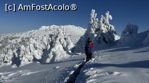 [P31] Munții Ciucaș - de la Bratocea pe Vârful Ciucaș » foto by Mika
 - 
<span class="allrVoted glyphicon glyphicon-heart hidden" id="av1516105"></span>
<a class="m-l-10 hidden" id="sv1516105" onclick="voting_Foto_DelVot(,1516105,4696)" role="button">șterge vot <span class="glyphicon glyphicon-remove"></span></a>
<a id="v91516105" class=" c-red"  onclick="voting_Foto_SetVot(1516105)" role="button"><span class="glyphicon glyphicon-heart-empty"></span> <b>LIKE</b> = Votează poza</a> <img class="hidden"  id="f1516105W9" src="/imagini/loader.gif" border="0" /><span class="AjErrMes hidden" id="e1516105ErM"></span>