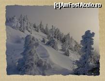 [P09] Muntii Ciucas - Culmea Gropsoarele-Zaganu » foto by boreal2007
 - 
<span class="allrVoted glyphicon glyphicon-heart hidden" id="av43481"></span>
<a class="m-l-10 hidden" id="sv43481" onclick="voting_Foto_DelVot(,43481,4696)" role="button">șterge vot <span class="glyphicon glyphicon-remove"></span></a>
<a id="v943481" class=" c-red"  onclick="voting_Foto_SetVot(43481)" role="button"><span class="glyphicon glyphicon-heart-empty"></span> <b>LIKE</b> = Votează poza</a> <img class="hidden"  id="f43481W9" src="/imagini/loader.gif" border="0" /><span class="AjErrMes hidden" id="e43481ErM"></span>