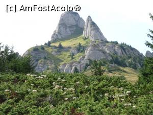 [P20] Traseul de întoarcere, prin Șaua Țigăilor.  » foto by tata123 🔱
 - 
<span class="allrVoted glyphicon glyphicon-heart hidden" id="av1109999"></span>
<a class="m-l-10 hidden" id="sv1109999" onclick="voting_Foto_DelVot(,1109999,4696)" role="button">șterge vot <span class="glyphicon glyphicon-remove"></span></a>
<a id="v91109999" class=" c-red"  onclick="voting_Foto_SetVot(1109999)" role="button"><span class="glyphicon glyphicon-heart-empty"></span> <b>LIKE</b> = Votează poza</a> <img class="hidden"  id="f1109999W9" src="/imagini/loader.gif" border="0" /><span class="AjErrMes hidden" id="e1109999ErM"></span>
