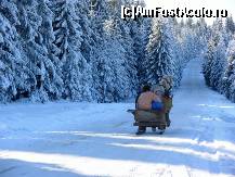 [P11] Moti » foto by catalinalupu
 - 
<span class="allrVoted glyphicon glyphicon-heart hidden" id="av43956"></span>
<a class="m-l-10 hidden" id="sv43956" onclick="voting_Foto_DelVot(,43956,4722)" role="button">șterge vot <span class="glyphicon glyphicon-remove"></span></a>
<a id="v943956" class=" c-red"  onclick="voting_Foto_SetVot(43956)" role="button"><span class="glyphicon glyphicon-heart-empty"></span> <b>LIKE</b> = Votează poza</a> <img class="hidden"  id="f43956W9" src="/imagini/loader.gif" border="0" /><span class="AjErrMes hidden" id="e43956ErM"></span>