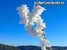 [P12] noaptea erau pana la -25 de grade! dar in cabana era cald! » foto by catalinalupu
 - 
<span class="allrVoted glyphicon glyphicon-heart hidden" id="av43957"></span>
<a class="m-l-10 hidden" id="sv43957" onclick="voting_Foto_DelVot(,43957,4722)" role="button">șterge vot <span class="glyphicon glyphicon-remove"></span></a>
<a id="v943957" class=" c-red"  onclick="voting_Foto_SetVot(43957)" role="button"><span class="glyphicon glyphicon-heart-empty"></span> <b>LIKE</b> = Votează poza</a> <img class="hidden"  id="f43957W9" src="/imagini/loader.gif" border="0" /><span class="AjErrMes hidden" id="e43957ErM"></span>