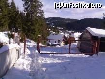 [P04] curtea cabanei » foto by catalinalupu
 - 
<span class="allrVoted glyphicon glyphicon-heart hidden" id="av43947"></span>
<a class="m-l-10 hidden" id="sv43947" onclick="voting_Foto_DelVot(,43947,4722)" role="button">șterge vot <span class="glyphicon glyphicon-remove"></span></a>
<a id="v943947" class=" c-red"  onclick="voting_Foto_SetVot(43947)" role="button"><span class="glyphicon glyphicon-heart-empty"></span> <b>LIKE</b> = Votează poza</a> <img class="hidden"  id="f43947W9" src="/imagini/loader.gif" border="0" /><span class="AjErrMes hidden" id="e43947ErM"></span>