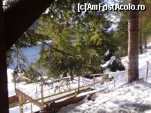 [P05]  -- <small>// FĂRĂ DESCRIERE</small> » foto by catalinalupu
 - 
<span class="allrVoted glyphicon glyphicon-heart hidden" id="av43948"></span>
<a class="m-l-10 hidden" id="sv43948" onclick="voting_Foto_DelVot(,43948,4722)" role="button">șterge vot <span class="glyphicon glyphicon-remove"></span></a>
<a id="v943948" class=" c-red"  onclick="voting_Foto_SetVot(43948)" role="button"><span class="glyphicon glyphicon-heart-empty"></span> <b>LIKE</b> = Votează poza</a> <img class="hidden"  id="f43948W9" src="/imagini/loader.gif" border="0" /><span class="AjErrMes hidden" id="e43948ErM"></span>