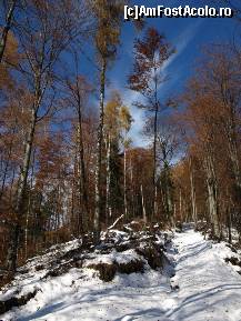 [P01] Muntii Iezer-Papusa >>> Culmea Vacarea » foto by boreal2007
 - 
<span class="allrVoted glyphicon glyphicon-heart hidden" id="av43997"></span>
<a class="m-l-10 hidden" id="sv43997" onclick="voting_Foto_DelVot(,43997,4725)" role="button">șterge vot <span class="glyphicon glyphicon-remove"></span></a>
<a id="v943997" class=" c-red"  onclick="voting_Foto_SetVot(43997)" role="button"><span class="glyphicon glyphicon-heart-empty"></span> <b>LIKE</b> = Votează poza</a> <img class="hidden"  id="f43997W9" src="/imagini/loader.gif" border="0" /><span class="AjErrMes hidden" id="e43997ErM"></span>