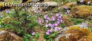 [P11]  -- <small>// FĂRĂ DESCRIERE</small> » foto by tata123 🔱
 - 
<span class="allrVoted glyphicon glyphicon-heart hidden" id="av1422764"></span>
<a class="m-l-10 hidden" id="sv1422764" onclick="voting_Foto_DelVot(,1422764,4725)" role="button">șterge vot <span class="glyphicon glyphicon-remove"></span></a>
<a id="v91422764" class=" c-red"  onclick="voting_Foto_SetVot(1422764)" role="button"><span class="glyphicon glyphicon-heart-empty"></span> <b>LIKE</b> = Votează poza</a> <img class="hidden"  id="f1422764W9" src="/imagini/loader.gif" border="0" /><span class="AjErrMes hidden" id="e1422764ErM"></span>