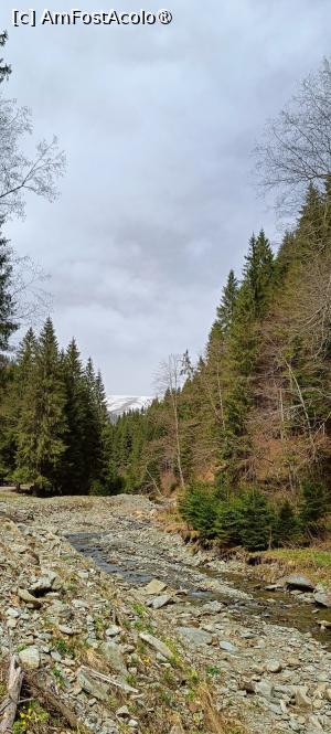 [P14] Albia r&acirc;ului este destul de &bdquo;frăm&acirc;ntată&rdquo; de lucrări de amenajare. » foto by tata123 🔱
 - 
<span class="allrVoted glyphicon glyphicon-heart hidden" id="av1422767"></span>
<a class="m-l-10 hidden" id="sv1422767" onclick="voting_Foto_DelVot(,1422767,4725)" role="button">șterge vot <span class="glyphicon glyphicon-remove"></span></a>
<a id="v91422767" class=" c-red"  onclick="voting_Foto_SetVot(1422767)" role="button"><span class="glyphicon glyphicon-heart-empty"></span> <b>LIKE</b> = Votează poza</a> <img class="hidden"  id="f1422767W9" src="/imagini/loader.gif" border="0" /><span class="AjErrMes hidden" id="e1422767ErM"></span>