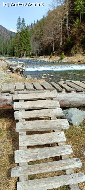 [P03] R&acirc;ul T&acirc;rgului. » foto by tata123 🔱
 - 
<span class="allrVoted glyphicon glyphicon-heart hidden" id="av1422756"></span>
<a class="m-l-10 hidden" id="sv1422756" onclick="voting_Foto_DelVot(,1422756,4725)" role="button">șterge vot <span class="glyphicon glyphicon-remove"></span></a>
<a id="v91422756" class=" c-red"  onclick="voting_Foto_SetVot(1422756)" role="button"><span class="glyphicon glyphicon-heart-empty"></span> <b>LIKE</b> = Votează poza</a> <img class="hidden"  id="f1422756W9" src="/imagini/loader.gif" border="0" /><span class="AjErrMes hidden" id="e1422756ErM"></span>