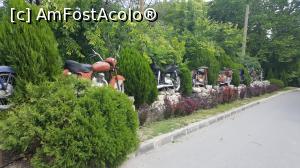 [P25] oldies but goldies - parc » foto by black_mamba
 - 
<span class="allrVoted glyphicon glyphicon-heart hidden" id="av970436"></span>
<a class="m-l-10 hidden" id="sv970436" onclick="voting_Foto_DelVot(,970436,4765)" role="button">șterge vot <span class="glyphicon glyphicon-remove"></span></a>
<a id="v9970436" class=" c-red"  onclick="voting_Foto_SetVot(970436)" role="button"><span class="glyphicon glyphicon-heart-empty"></span> <b>LIKE</b> = Votează poza</a> <img class="hidden"  id="f970436W9" src="/imagini/loader.gif" border="0" /><span class="AjErrMes hidden" id="e970436ErM"></span>