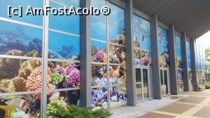 [P29] delfinariu » foto by black_mamba
 - 
<span class="allrVoted glyphicon glyphicon-heart hidden" id="av970440"></span>
<a class="m-l-10 hidden" id="sv970440" onclick="voting_Foto_DelVot(,970440,4765)" role="button">șterge vot <span class="glyphicon glyphicon-remove"></span></a>
<a id="v9970440" class=" c-red"  onclick="voting_Foto_SetVot(970440)" role="button"><span class="glyphicon glyphicon-heart-empty"></span> <b>LIKE</b> = Votează poza</a> <img class="hidden"  id="f970440W9" src="/imagini/loader.gif" border="0" /><span class="AjErrMes hidden" id="e970440ErM"></span>