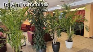 [P10] Quality Hotel Vienna - holul » foto by doina_c24
 - 
<span class="allrVoted glyphicon glyphicon-heart hidden" id="av1438938"></span>
<a class="m-l-10 hidden" id="sv1438938" onclick="voting_Foto_DelVot(,1438938,4784)" role="button">șterge vot <span class="glyphicon glyphicon-remove"></span></a>
<a id="v91438938" class=" c-red"  onclick="voting_Foto_SetVot(1438938)" role="button"><span class="glyphicon glyphicon-heart-empty"></span> <b>LIKE</b> = Votează poza</a> <img class="hidden"  id="f1438938W9" src="/imagini/loader.gif" border="0" /><span class="AjErrMes hidden" id="e1438938ErM"></span>