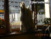 [P11] Restaurant Dragului Predeal - foarte interesant. Un munte de ceară. » foto by creivean
 - 
<span class="allrVoted glyphicon glyphicon-heart hidden" id="av180118"></span>
<a class="m-l-10 hidden" id="sv180118" onclick="voting_Foto_DelVot(,180118,4795)" role="button">șterge vot <span class="glyphicon glyphicon-remove"></span></a>
<a id="v9180118" class=" c-red"  onclick="voting_Foto_SetVot(180118)" role="button"><span class="glyphicon glyphicon-heart-empty"></span> <b>LIKE</b> = Votează poza</a> <img class="hidden"  id="f180118W9" src="/imagini/loader.gif" border="0" /><span class="AjErrMes hidden" id="e180118ErM"></span>