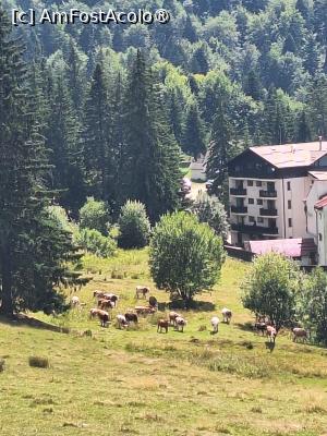 [P01] Peisaj montan » foto by laurand
 - 
<span class="allrVoted glyphicon glyphicon-heart hidden" id="av1514760"></span>
<a class="m-l-10 hidden" id="sv1514760" onclick="voting_Foto_DelVot(,1514760,4795)" role="button">șterge vot <span class="glyphicon glyphicon-remove"></span></a>
<a id="v91514760" class=" c-red"  onclick="voting_Foto_SetVot(1514760)" role="button"><span class="glyphicon glyphicon-heart-empty"></span> <b>LIKE</b> = Votează poza</a> <img class="hidden"  id="f1514760W9" src="/imagini/loader.gif" border="0" /><span class="AjErrMes hidden" id="e1514760ErM"></span>