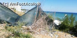 [P14] Pe faleza in Olimp » foto by Nicu
 - 
<span class="allrVoted glyphicon glyphicon-heart hidden" id="av1194758"></span>
<a class="m-l-10 hidden" id="sv1194758" onclick="voting_Foto_DelVot(,1194758,4834)" role="button">șterge vot <span class="glyphicon glyphicon-remove"></span></a>
<a id="v91194758" class=" c-red"  onclick="voting_Foto_SetVot(1194758)" role="button"><span class="glyphicon glyphicon-heart-empty"></span> <b>LIKE</b> = Votează poza</a> <img class="hidden"  id="f1194758W9" src="/imagini/loader.gif" border="0" /><span class="AjErrMes hidden" id="e1194758ErM"></span>