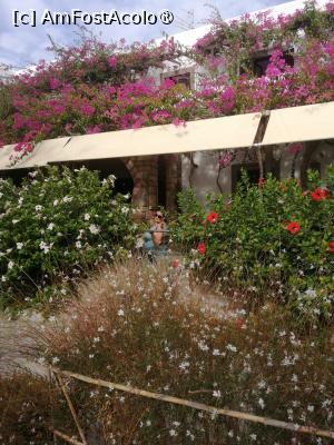 [P04]  -- <small>// FĂRĂ DESCRIERE</small> » foto by Cristian_h
 - 
<span class="allrVoted glyphicon glyphicon-heart hidden" id="av1516776"></span>
<a class="m-l-10 hidden" id="sv1516776" onclick="voting_Foto_DelVot(,1516776,4839)" role="button">șterge vot <span class="glyphicon glyphicon-remove"></span></a>
<a id="v91516776" class=" c-red"  onclick="voting_Foto_SetVot(1516776)" role="button"><span class="glyphicon glyphicon-heart-empty"></span> <b>LIKE</b> = Votează poza</a> <img class="hidden"  id="f1516776W9" src="/imagini/loader.gif" border="0" /><span class="AjErrMes hidden" id="e1516776ErM"></span>