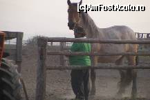 [P05] Un exemplar de lipitan superb... » foto by buburuzica
 - 
<span class="allrVoted glyphicon glyphicon-heart hidden" id="av46773"></span>
<a class="m-l-10 hidden" id="sv46773" onclick="voting_Foto_DelVot(,46773,4853)" role="button">șterge vot <span class="glyphicon glyphicon-remove"></span></a>
<a id="v946773" class=" c-red"  onclick="voting_Foto_SetVot(46773)" role="button"><span class="glyphicon glyphicon-heart-empty"></span> <b>LIKE</b> = Votează poza</a> <img class="hidden"  id="f46773W9" src="/imagini/loader.gif" border="0" /><span class="AjErrMes hidden" id="e46773ErM"></span>