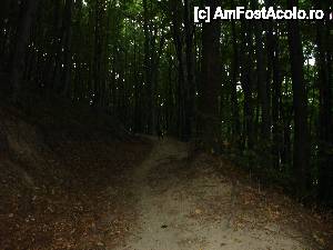 [P02] traseu prin padure spre Stanisoara » foto by veteranu
 - 
<span class="allrVoted glyphicon glyphicon-heart hidden" id="av438404"></span>
<a class="m-l-10 hidden" id="sv438404" onclick="voting_Foto_DelVot(,438404,4859)" role="button">șterge vot <span class="glyphicon glyphicon-remove"></span></a>
<a id="v9438404" class=" c-red"  onclick="voting_Foto_SetVot(438404)" role="button"><span class="glyphicon glyphicon-heart-empty"></span> <b>LIKE</b> = Votează poza</a> <img class="hidden"  id="f438404W9" src="/imagini/loader.gif" border="0" /><span class="AjErrMes hidden" id="e438404ErM"></span>