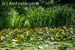 [P12] Lacul cu nuferi din Olănești de la Băile Olănești, este aproape de centrul stațiunii Olănești » foto by micamiha
 - 
<span class="allrVoted glyphicon glyphicon-heart hidden" id="av1150759"></span>
<a class="m-l-10 hidden" id="sv1150759" onclick="voting_Foto_DelVot(,1150759,4859)" role="button">șterge vot <span class="glyphicon glyphicon-remove"></span></a>
<a id="v91150759" class=" c-red"  onclick="voting_Foto_SetVot(1150759)" role="button"><span class="glyphicon glyphicon-heart-empty"></span> <b>LIKE</b> = Votează poza</a> <img class="hidden"  id="f1150759W9" src="/imagini/loader.gif" border="0" /><span class="AjErrMes hidden" id="e1150759ErM"></span>