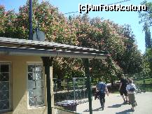 [P28] Capatul tramvaiului 1, intrarea in Prater. » foto by balasa violeta
 - 
<span class="allrVoted glyphicon glyphicon-heart hidden" id="av317236"></span>
<a class="m-l-10 hidden" id="sv317236" onclick="voting_Foto_DelVot(,317236,4865)" role="button">șterge vot <span class="glyphicon glyphicon-remove"></span></a>
<a id="v9317236" class=" c-red"  onclick="voting_Foto_SetVot(317236)" role="button"><span class="glyphicon glyphicon-heart-empty"></span> <b>LIKE</b> = Votează poza</a> <img class="hidden"  id="f317236W9" src="/imagini/loader.gif" border="0" /><span class="AjErrMes hidden" id="e317236ErM"></span>