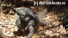 [P22]  -- <small>// FĂRĂ DESCRIERE</small> » foto by roth
 - 
<span class="allrVoted glyphicon glyphicon-heart hidden" id="av323925"></span>
<a class="m-l-10 hidden" id="sv323925" onclick="voting_Foto_DelVot(,323925,4873)" role="button">șterge vot <span class="glyphicon glyphicon-remove"></span></a>
<a id="v9323925" class=" c-red"  onclick="voting_Foto_SetVot(323925)" role="button"><span class="glyphicon glyphicon-heart-empty"></span> <b>LIKE</b> = Votează poza</a> <img class="hidden"  id="f323925W9" src="/imagini/loader.gif" border="0" /><span class="AjErrMes hidden" id="e323925ErM"></span>