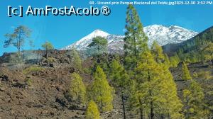 [P01] Urcand prin Parque Nacional del Teide » foto by Dracula63
 - 
<span class="allrVoted glyphicon glyphicon-heart hidden" id="av1529636"></span>
<a class="m-l-10 hidden" id="sv1529636" onclick="voting_Foto_DelVot(,1529636,4873)" role="button">șterge vot <span class="glyphicon glyphicon-remove"></span></a>
<a id="v91529636" class=" c-red"  onclick="voting_Foto_SetVot(1529636)" role="button"><span class="glyphicon glyphicon-heart-empty"></span> <b>LIKE</b> = Votează poza</a> <img class="hidden"  id="f1529636W9" src="/imagini/loader.gif" border="0" /><span class="AjErrMes hidden" id="e1529636ErM"></span>