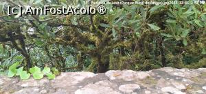 [P05] Padurea de Laur (Parque Rural de Anaga) » foto by Dracula63
 - 
<span class="allrVoted glyphicon glyphicon-heart hidden" id="av1530309"></span>
<a class="m-l-10 hidden" id="sv1530309" onclick="voting_Foto_DelVot(,1530309,4873)" role="button">șterge vot <span class="glyphicon glyphicon-remove"></span></a>
<a id="v91530309" class=" c-red"  onclick="voting_Foto_SetVot(1530309)" role="button"><span class="glyphicon glyphicon-heart-empty"></span> <b>LIKE</b> = Votează poza</a> <img class="hidden"  id="f1530309W9" src="/imagini/loader.gif" border="0" /><span class="AjErrMes hidden" id="e1530309ErM"></span>