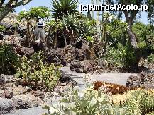 [P06] Jungle Park-cactusi » foto by iorgulescua
 - 
<span class="allrVoted glyphicon glyphicon-heart hidden" id="av260882"></span>
<a class="m-l-10 hidden" id="sv260882" onclick="voting_Foto_DelVot(,260882,4873)" role="button">șterge vot <span class="glyphicon glyphicon-remove"></span></a>
<a id="v9260882" class=" c-red"  onclick="voting_Foto_SetVot(260882)" role="button"><span class="glyphicon glyphicon-heart-empty"></span> <b>LIKE</b> = Votează poza</a> <img class="hidden"  id="f260882W9" src="/imagini/loader.gif" border="0" /><span class="AjErrMes hidden" id="e260882ErM"></span>