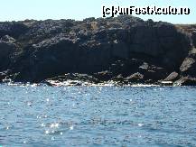 [P24] Pestera Piratilor de pe Insula Sozopol. » foto by costin1968
 - 
<span class="allrVoted glyphicon glyphicon-heart hidden" id="av47931"></span>
<a class="m-l-10 hidden" id="sv47931" onclick="voting_Foto_DelVot(,47931,4892)" role="button">șterge vot <span class="glyphicon glyphicon-remove"></span></a>
<a id="v947931" class=" c-red"  onclick="voting_Foto_SetVot(47931)" role="button"><span class="glyphicon glyphicon-heart-empty"></span> <b>LIKE</b> = Votează poza</a> <img class="hidden"  id="f47931W9" src="/imagini/loader.gif" border="0" /><span class="AjErrMes hidden" id="e47931ErM"></span>