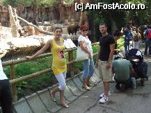 [P08]  -- <small>// FĂRĂ DESCRIERE</small> » foto by gogasorinel
 - 
<span class="allrVoted glyphicon glyphicon-heart hidden" id="av47703"></span>
<a class="m-l-10 hidden" id="sv47703" onclick="voting_Foto_DelVot(,47703,4893)" role="button">șterge vot <span class="glyphicon glyphicon-remove"></span></a>
<a id="v947703" class=" c-red"  onclick="voting_Foto_SetVot(47703)" role="button"><span class="glyphicon glyphicon-heart-empty"></span> <b>LIKE</b> = Votează poza</a> <img class="hidden"  id="f47703W9" src="/imagini/loader.gif" border="0" /><span class="AjErrMes hidden" id="e47703ErM"></span>