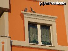 [P27] Cartierul hellersdorf din Berlin : pictura fațadei este atât de bine excutată, încât până și umbrele au fost redate, într-o încercare reușită de a da impresia de profunzime » foto by mariana.olaru
 - 
<span class="allrVoted glyphicon glyphicon-heart hidden" id="av162059"></span>
<a class="m-l-10 hidden" id="sv162059" onclick="voting_Foto_DelVot(,162059,4900)" role="button">șterge vot <span class="glyphicon glyphicon-remove"></span></a>
<a id="v9162059" class=" c-red"  onclick="voting_Foto_SetVot(162059)" role="button"><span class="glyphicon glyphicon-heart-empty"></span> <b>LIKE</b> = Votează poza</a> <img class="hidden"  id="f162059W9" src="/imagini/loader.gif" border="0" /><span class="AjErrMes hidden" id="e162059ErM"></span>