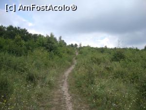 [P34] Tot mai sus pe cărare, către releu.  » foto by Floryn81
 - 
<span class="allrVoted glyphicon glyphicon-heart hidden" id="av775482"></span>
<a class="m-l-10 hidden" id="sv775482" onclick="voting_Foto_DelVot(,775482,4909)" role="button">șterge vot <span class="glyphicon glyphicon-remove"></span></a>
<a id="v9775482" class=" c-red"  onclick="voting_Foto_SetVot(775482)" role="button"><span class="glyphicon glyphicon-heart-empty"></span> <b>LIKE</b> = Votează poza</a> <img class="hidden"  id="f775482W9" src="/imagini/loader.gif" border="0" /><span class="AjErrMes hidden" id="e775482ErM"></span>