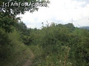 [P38] La pas pe drumul de întoarcere. Vom trece prin apropierea releului vizibil în partea dreaptă a imaginii.  » foto by Floryn81
 - 
<span class="allrVoted glyphicon glyphicon-heart hidden" id="av775487"></span>
<a class="m-l-10 hidden" id="sv775487" onclick="voting_Foto_DelVot(,775487,4909)" role="button">șterge vot <span class="glyphicon glyphicon-remove"></span></a>
<a id="v9775487" class=" c-red"  onclick="voting_Foto_SetVot(775487)" role="button"><span class="glyphicon glyphicon-heart-empty"></span> <b>LIKE</b> = Votează poza</a> <img class="hidden"  id="f775487W9" src="/imagini/loader.gif" border="0" /><span class="AjErrMes hidden" id="e775487ErM"></span>