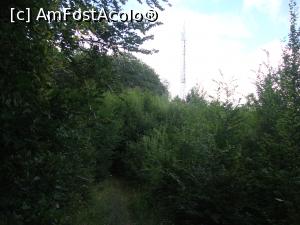 [P39] Străbatem încântați tuneluri vegetale.  » foto by Floryn81
 - 
<span class="allrVoted glyphicon glyphicon-heart hidden" id="av775488"></span>
<a class="m-l-10 hidden" id="sv775488" onclick="voting_Foto_DelVot(,775488,4909)" role="button">șterge vot <span class="glyphicon glyphicon-remove"></span></a>
<a id="v9775488" class=" c-red"  onclick="voting_Foto_SetVot(775488)" role="button"><span class="glyphicon glyphicon-heart-empty"></span> <b>LIKE</b> = Votează poza</a> <img class="hidden"  id="f775488W9" src="/imagini/loader.gif" border="0" /><span class="AjErrMes hidden" id="e775488ErM"></span>