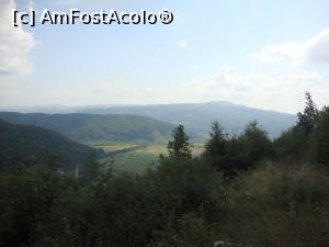 [P41] Un loc cu vegetație pitică, unde am făcut o scurtă pauză.  » foto by Floryn81
 - 
<span class="allrVoted glyphicon glyphicon-heart hidden" id="av775491"></span>
<a class="m-l-10 hidden" id="sv775491" onclick="voting_Foto_DelVot(,775491,4909)" role="button">șterge vot <span class="glyphicon glyphicon-remove"></span></a>
<a id="v9775491" class=" c-red"  onclick="voting_Foto_SetVot(775491)" role="button"><span class="glyphicon glyphicon-heart-empty"></span> <b>LIKE</b> = Votează poza</a> <img class="hidden"  id="f775491W9" src="/imagini/loader.gif" border="0" /><span class="AjErrMes hidden" id="e775491ErM"></span>