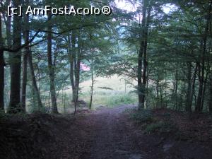 [P43] Ieșirea din pădure. Ne apropiem de finalul acestui frumos traseu.  » foto by Floryn81
 - 
<span class="allrVoted glyphicon glyphicon-heart hidden" id="av775493"></span>
<a class="m-l-10 hidden" id="sv775493" onclick="voting_Foto_DelVot(,775493,4909)" role="button">șterge vot <span class="glyphicon glyphicon-remove"></span></a>
<a id="v9775493" class=" c-red"  onclick="voting_Foto_SetVot(775493)" role="button"><span class="glyphicon glyphicon-heart-empty"></span> <b>LIKE</b> = Votează poza</a> <img class="hidden"  id="f775493W9" src="/imagini/loader.gif" border="0" /><span class="AjErrMes hidden" id="e775493ErM"></span>