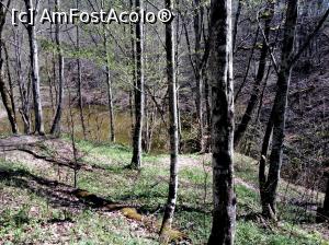 [P04] Sovata, Lacul Mierlei, aprilie 2017 » foto by Dana2008
 - 
<span class="allrVoted glyphicon glyphicon-heart hidden" id="av849495"></span>
<a class="m-l-10 hidden" id="sv849495" onclick="voting_Foto_DelVot(,849495,4909)" role="button">șterge vot <span class="glyphicon glyphicon-remove"></span></a>
<a id="v9849495" class=" c-red"  onclick="voting_Foto_SetVot(849495)" role="button"><span class="glyphicon glyphicon-heart-empty"></span> <b>LIKE</b> = Votează poza</a> <img class="hidden"  id="f849495W9" src="/imagini/loader.gif" border="0" /><span class="AjErrMes hidden" id="e849495ErM"></span>