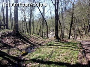 [P05] Sovata, traseul spre Lacul Mierlei, aprilie 2017 » foto by Dana2008
 - 
<span class="allrVoted glyphicon glyphicon-heart hidden" id="av849496"></span>
<a class="m-l-10 hidden" id="sv849496" onclick="voting_Foto_DelVot(,849496,4909)" role="button">șterge vot <span class="glyphicon glyphicon-remove"></span></a>
<a id="v9849496" class=" c-red"  onclick="voting_Foto_SetVot(849496)" role="button"><span class="glyphicon glyphicon-heart-empty"></span> <b>LIKE</b> = Votează poza</a> <img class="hidden"  id="f849496W9" src="/imagini/loader.gif" border="0" /><span class="AjErrMes hidden" id="e849496ErM"></span>