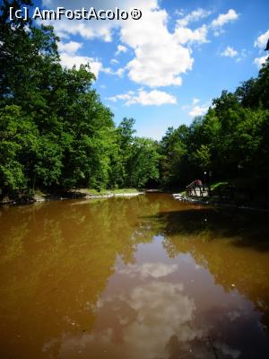 [P14] Lacul Roșu. » foto by tata123 🔱
 - 
<span class="allrVoted glyphicon glyphicon-heart hidden" id="av1194389"></span>
<a class="m-l-10 hidden" id="sv1194389" onclick="voting_Foto_DelVot(,1194389,4909)" role="button">șterge vot <span class="glyphicon glyphicon-remove"></span></a>
<a id="v91194389" class=" c-red"  onclick="voting_Foto_SetVot(1194389)" role="button"><span class="glyphicon glyphicon-heart-empty"></span> <b>LIKE</b> = Votează poza</a> <img class="hidden"  id="f1194389W9" src="/imagini/loader.gif" border="0" /><span class="AjErrMes hidden" id="e1194389ErM"></span>